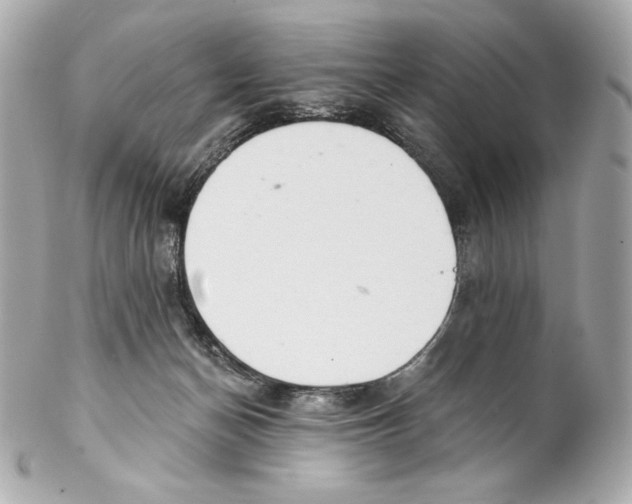 X0000102020174200808151324