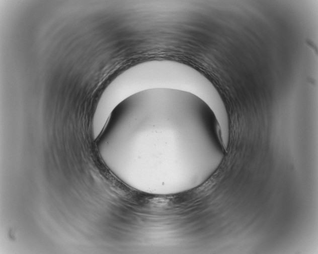 X0000102020176200808151324