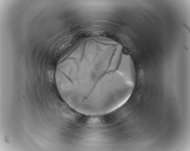 X0000102020177200808151324