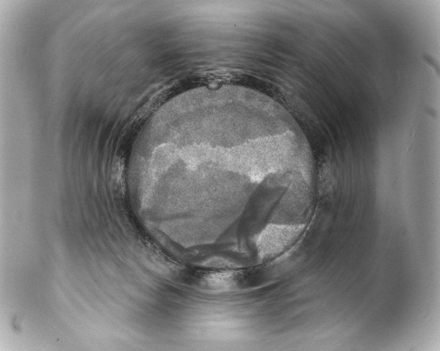 X0000102020178200808151324