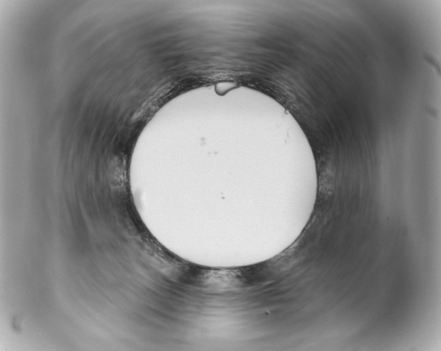 X0000102020179200808151324