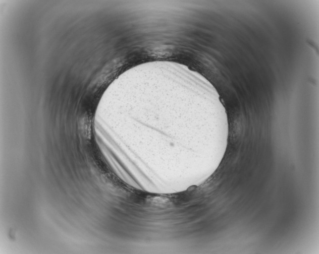 X0000102020180200808151324