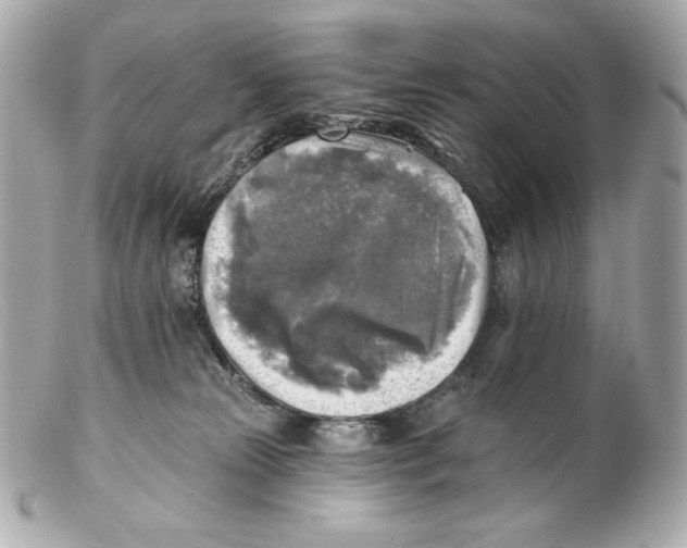 X0000102020181200808151324