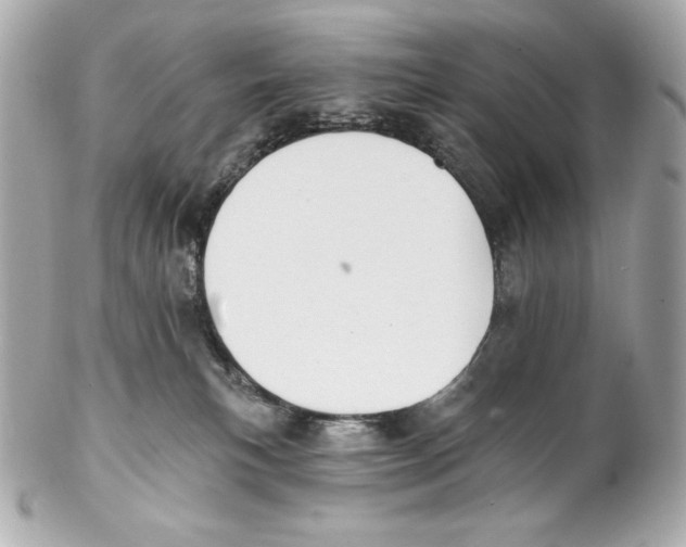 X0000102020183200808151324