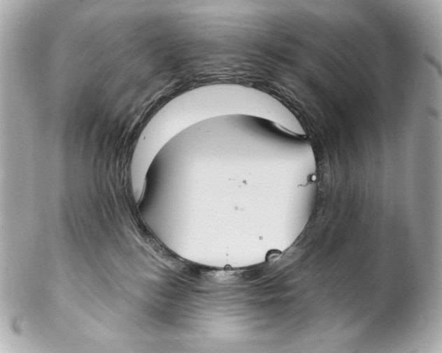 X0000102020184200808151324