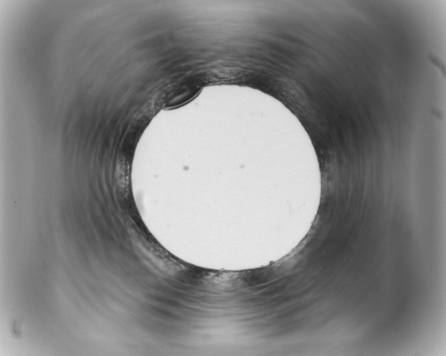 X0000102020186200808151324