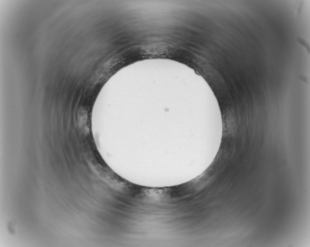 X0000102020187200808151324