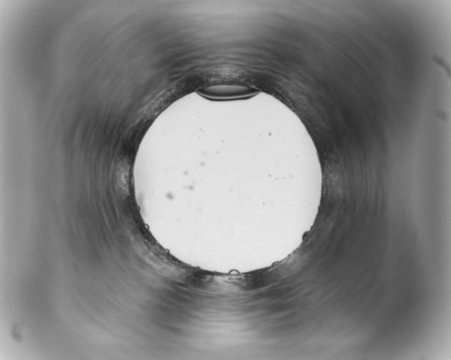 X0000102020188200808151324