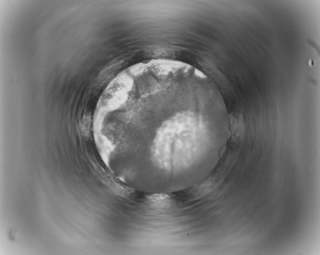 X0000102020189200808151324