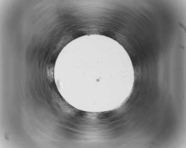 X0000102020190200808151324
