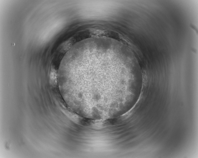 X0000102020191200808151324