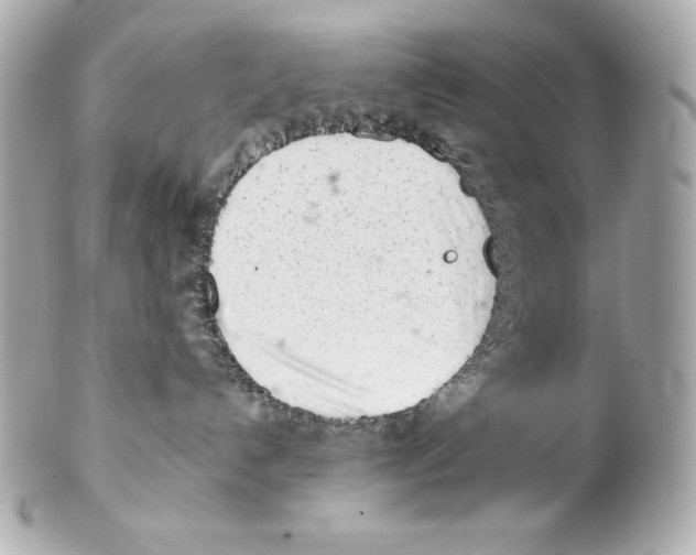 X0000102020192200808151325