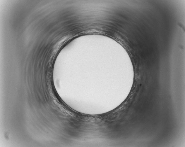 X0000102020193200808151323