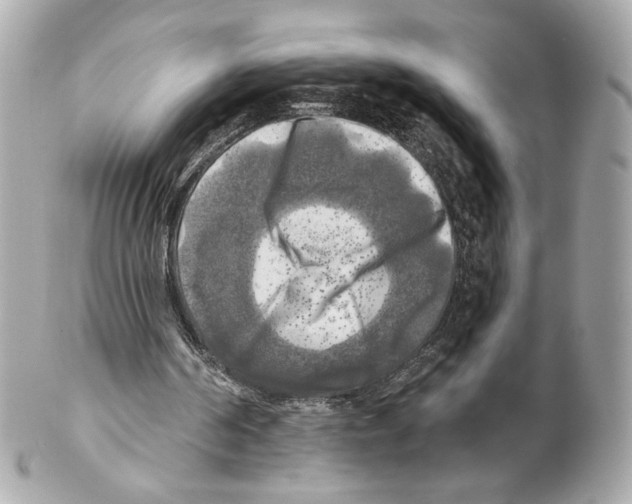 X0000102020194200808151323