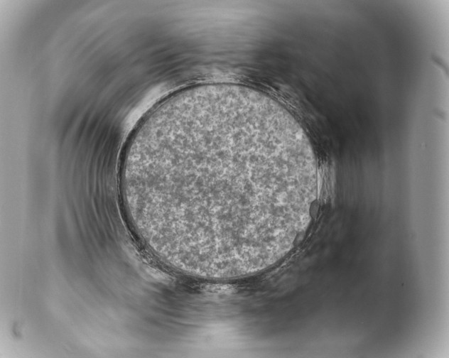 X0000102020195200808151323