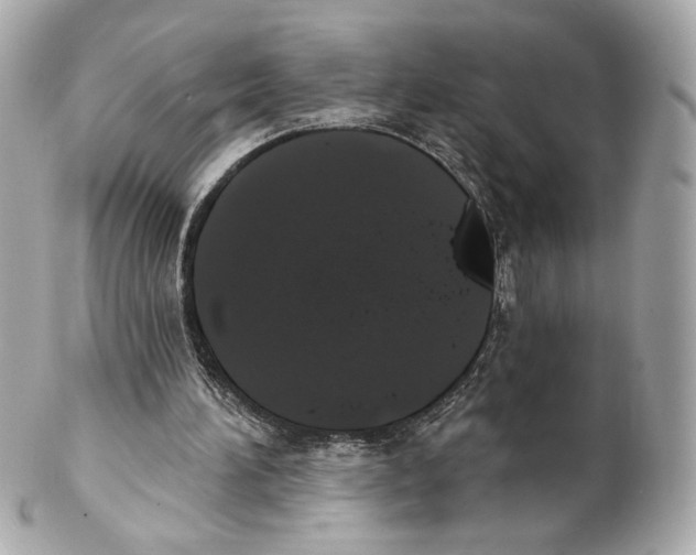 X0000102020196200808151323
