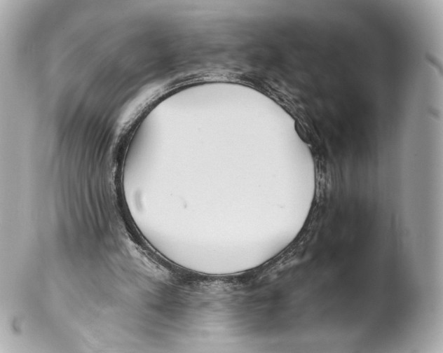 X0000102020197200808151323