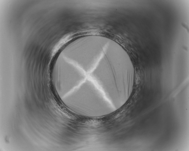 X0000102020198200808151323