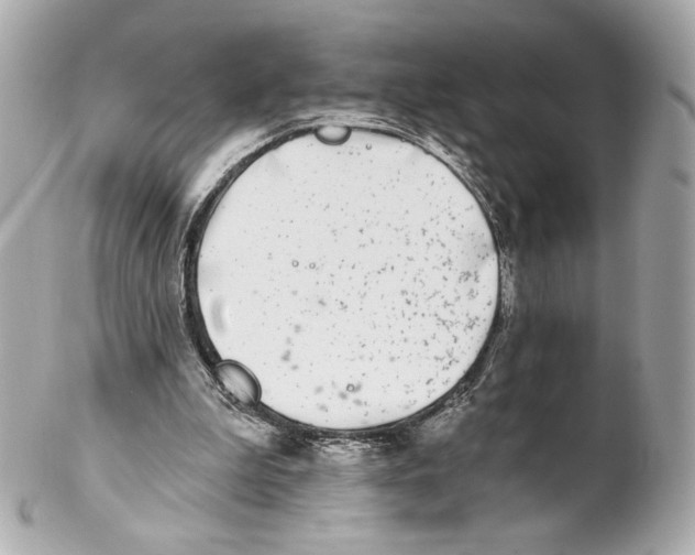 X0000102020199200808151323