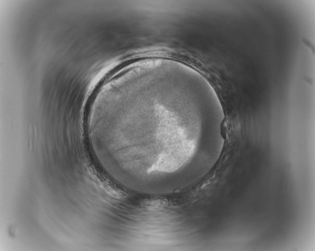 X0000102020200200808151323