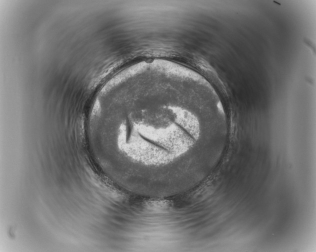 X0000102020202200808151323