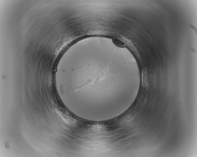 X0000102020204200808151323