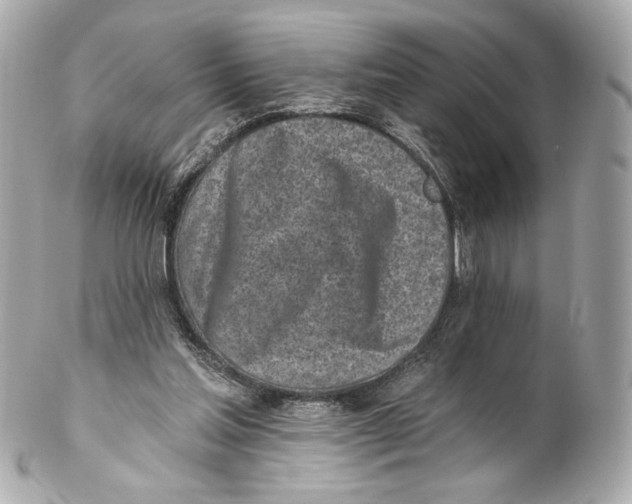 X0000102020205200808151323