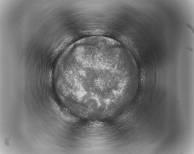 X0000102020206200808151323