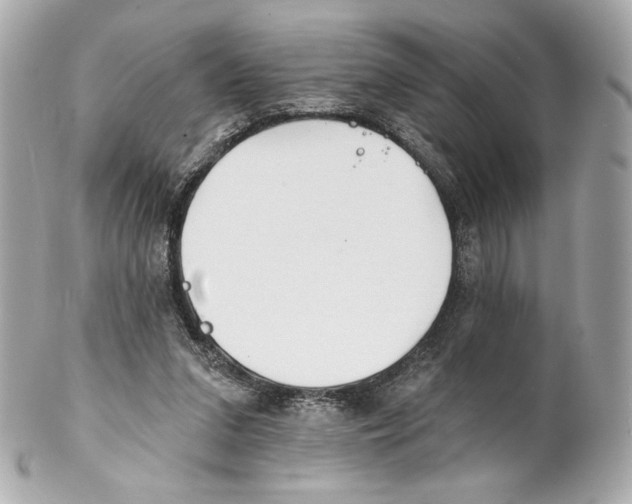 X0000102020207200808151323