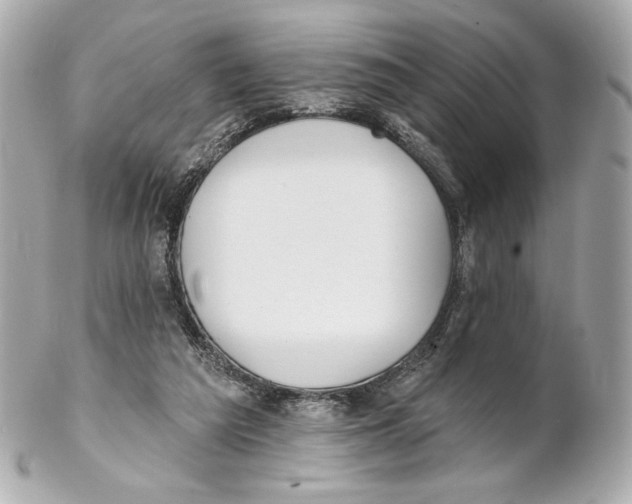 X0000102020209200808151323