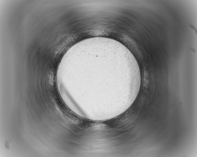 X0000102020210200808151323