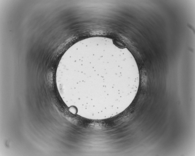 X0000102020211200808151323