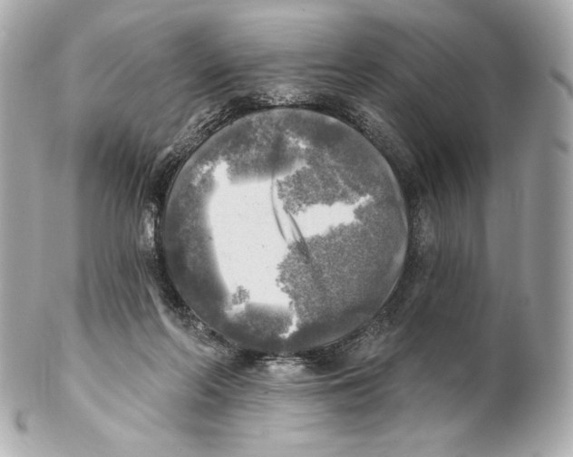 X0000102020214200808151323