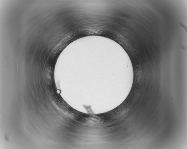 X0000102020215200808151323