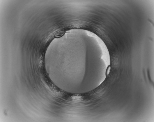 X0000102020216200808151323
