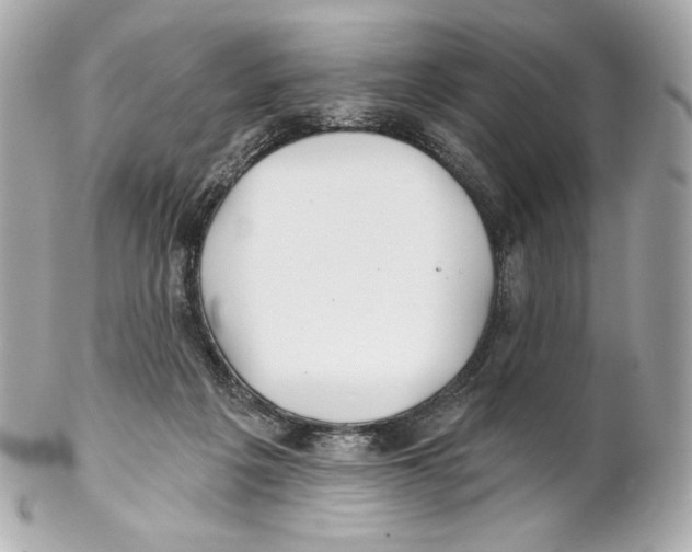 X0000102020217200808151323