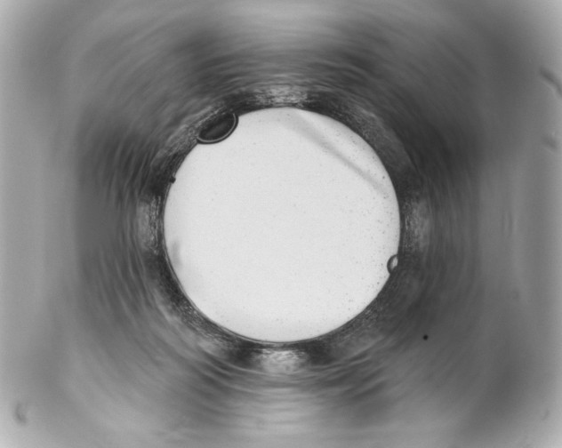 X0000102020218200808151323