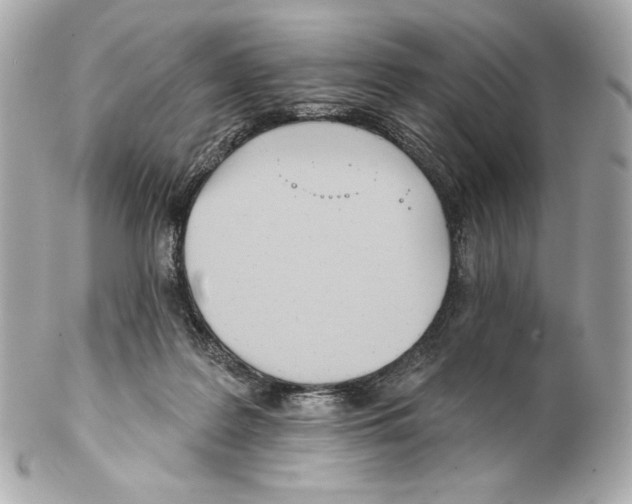 X0000102020219200808151323