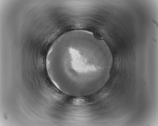X0000102020220200808151323