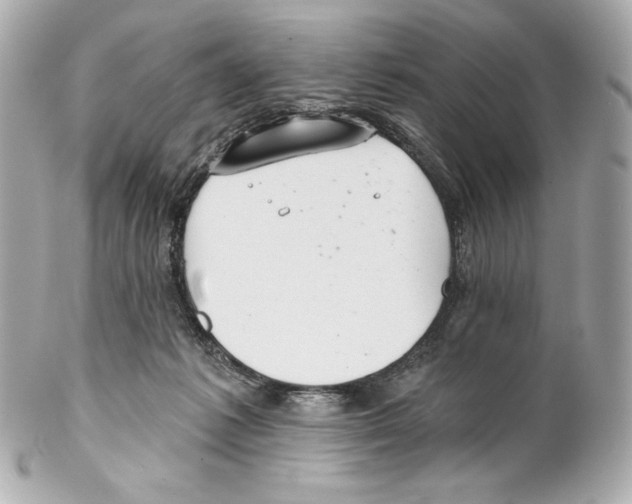 X0000102020221200808151323