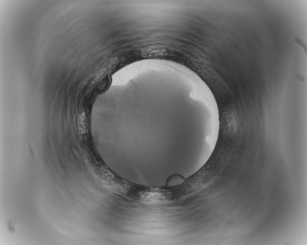 X0000102020224200808151323