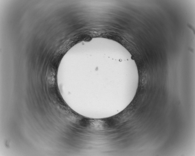 X0000102020226200808151323