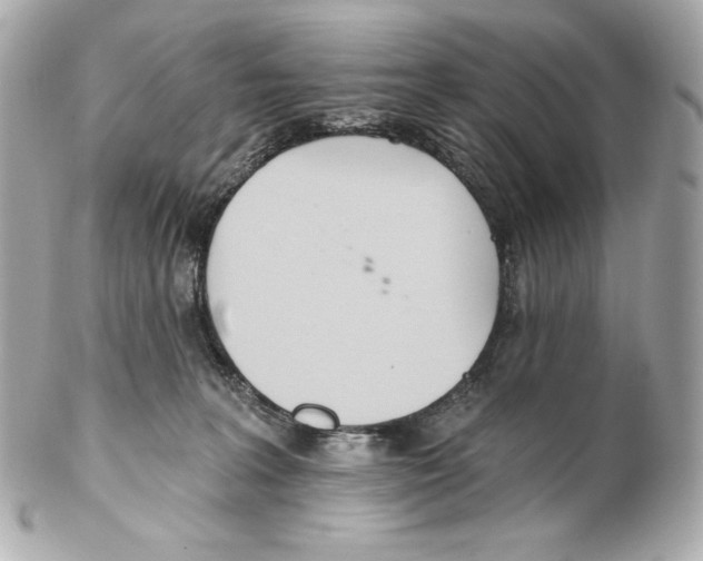 X0000102020227200808151323