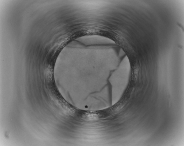 X0000102020228200808151323