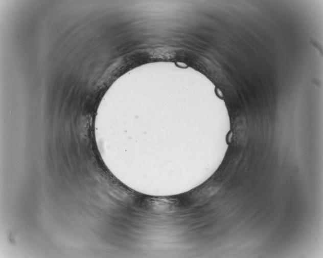 X0000102020229200808151323