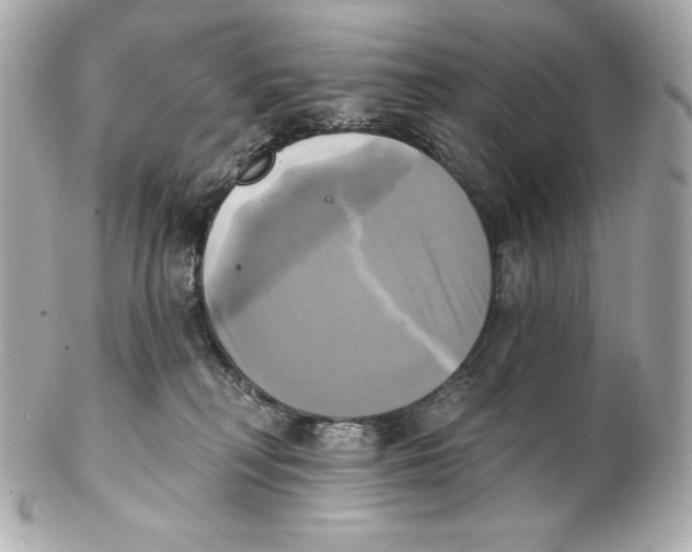 X0000102020230200808151323