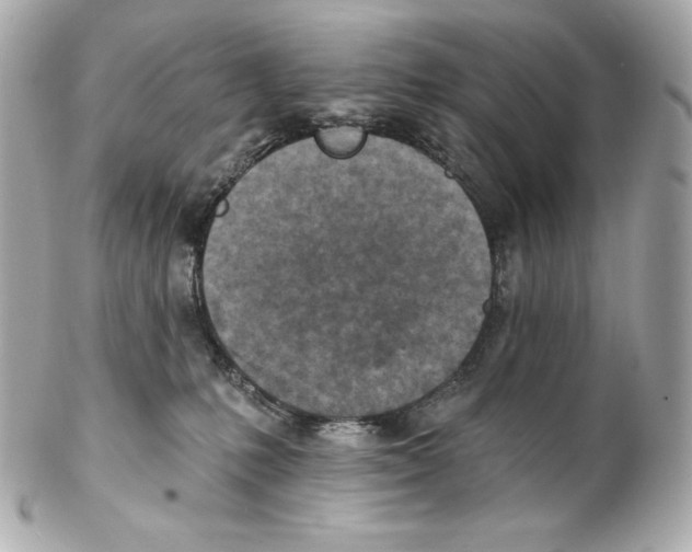 X0000102020231200808151323