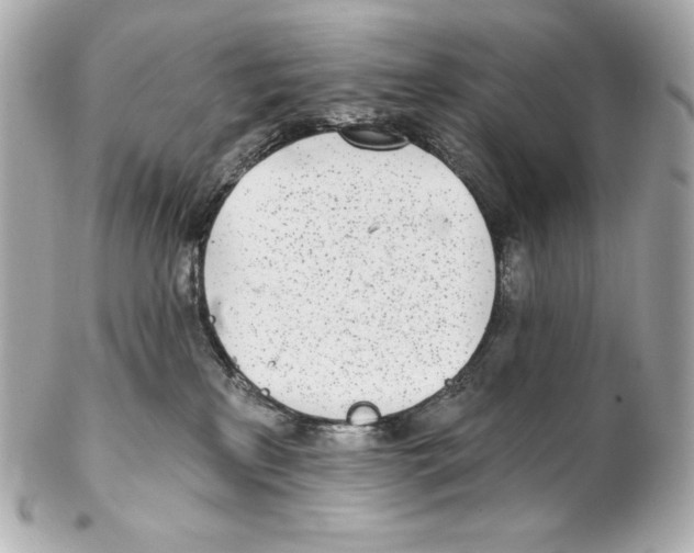 X0000102020233200808151323