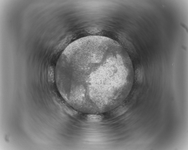 X0000102020234200808151323