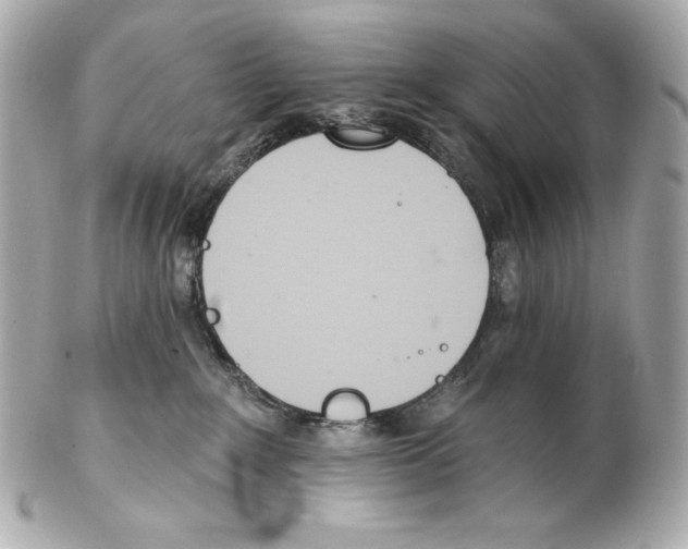 X0000102020235200808151323